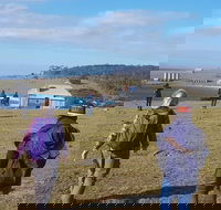 4-Day Hobart Adventure Tour Maria Island Cape Raoul Mount Field Cape Hauy - Sunshine Coast Guide