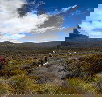 6-Day Overland Track PhotoTour - Sunshine Coast Guide