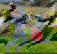 Mclaren Vale Luxury Full Day Small Group Wine Tour - Sunshine Coast Guide