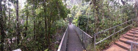 Cape Tribulation, Mossman Gorge, And Daintree Rainforest Day Trip From Cairns Or Port Douglas - Sunshine Coast Guide 4