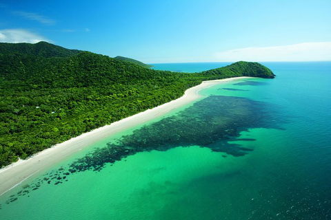 Cape Tribulation, Mossman Gorge, And Daintree Rainforest Day Trip From Cairns Or Port Douglas - Sunshine Coast Guide 0