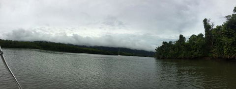 Cape Tribulation, Mossman Gorge, And Daintree Rainforest Day Trip From Cairns Or Port Douglas - Sunshine Coast Guide 3