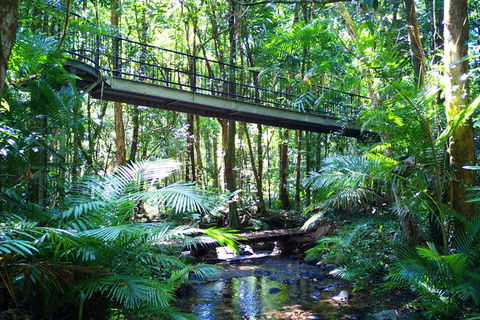 Cape Tribulation, Mossman Gorge, And Daintree Rainforest Day Trip From Cairns Or Port Douglas - Sunshine Coast Guide 7