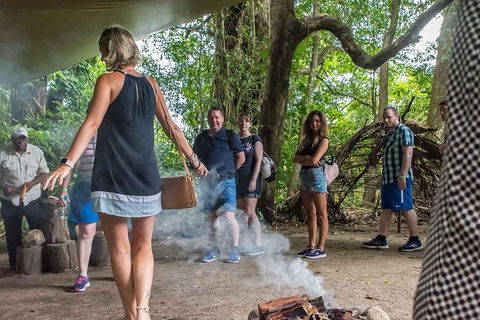Cape Tribulation, Mossman Gorge, And Daintree Rainforest Day Trip From Cairns Or Port Douglas - Sunshine Coast Guide 13