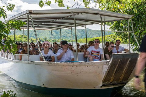 Cape Tribulation, Mossman Gorge, And Daintree Rainforest Day Trip From Cairns Or Port Douglas - Sunshine Coast Guide 8