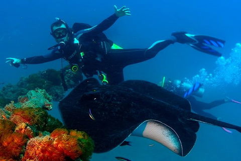 Scuba Dive The S.S. Yongala Wreck On The Great Barrier Reef. - Sunshine Coast Guide 1