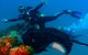 Scuba Dive The S.S. Yongala Wreck On The Great Barrier Reef. - thumb 5