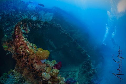 Scuba Dive The S.S. Yongala Wreck On The Great Barrier Reef. - Sunshine Coast Guide 3