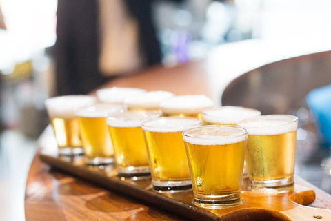 XXXX Brewery Tour - Sunshine Coast Guide 9