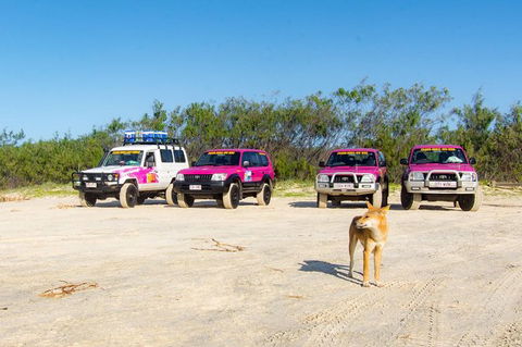 3 Day 4wd Tagalong Tour - Fraser Island - Sunshine Coast Guide 0