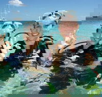 Ocean Spirit Michaelmas Cay Dive and Snorkel Cruise from Palm Cove - Sunshine Coast Guide