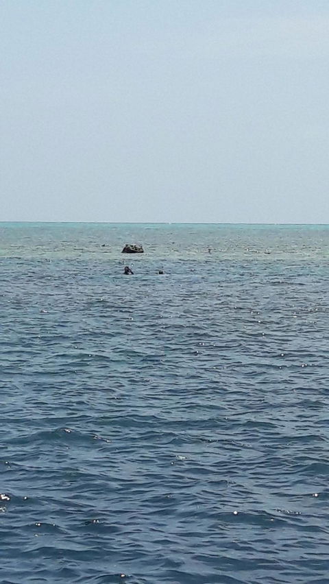 Great Barrier Reef Cruise From Townsville Or Magnetic Island - Sunshine Coast Guide 2