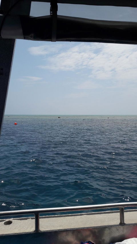 Great Barrier Reef Cruise From Townsville Or Magnetic Island - Sunshine Coast Guide 3