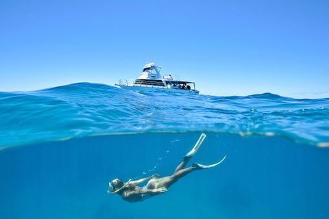 Great Barrier Reef Cruise From Townsville Or Magnetic Island - Sunshine Coast Guide 10