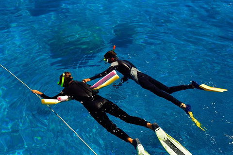 Great Barrier Reef Cruise From Townsville Or Magnetic Island - Sunshine Coast Guide 13