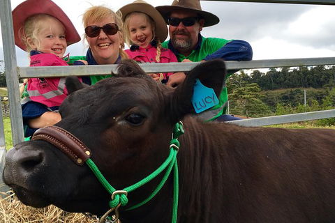Mackay's Day In The Clouds Paddock To Plate Tour - Sunshine Coast Guide 0