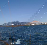 Townsville early Morning Sailing Cruise Boat Tour - Sunshine Coast Guide