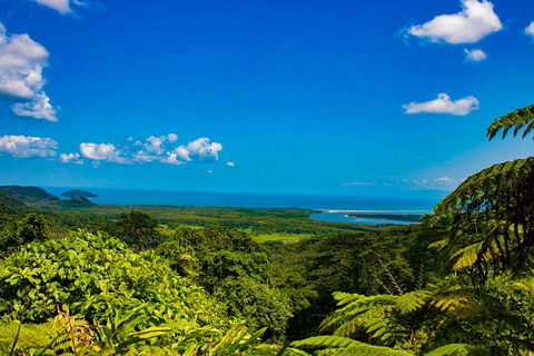 Cape Tribulation Day Tour - Sunshine Coast Guide 0