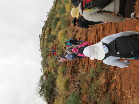 Kings Canyon Day Trip From Ayers Rock - Sunshine Coast Guide 14