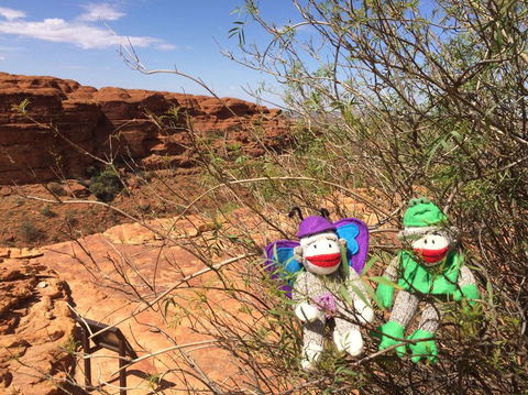 Kings Canyon Day Trip From Ayers Rock - Sunshine Coast Guide 23