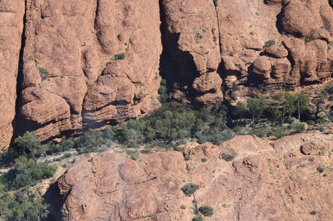 Kings Canyon Day Trip From Ayers Rock - Sunshine Coast Guide 5