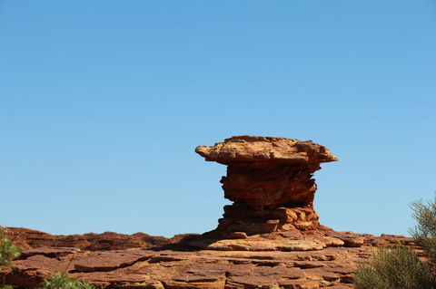 Kings Canyon Day Trip From Ayers Rock - Sunshine Coast Guide 17