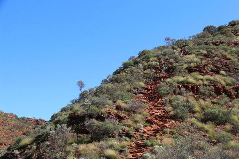 Kings Canyon Day Trip From Ayers Rock - Sunshine Coast Guide 21