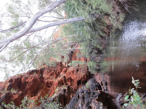Kings Canyon Day Trip From Ayers Rock - Sunshine Coast Guide 11
