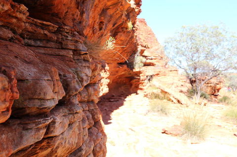 Kings Canyon Day Trip From Ayers Rock - Sunshine Coast Guide 20