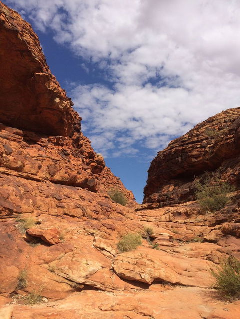 Kings Canyon Day Trip From Ayers Rock - Sunshine Coast Guide 25