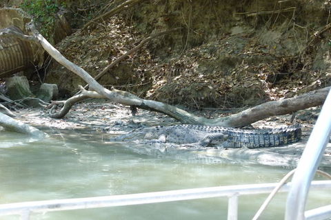 Kakadu Full-Day Tour From Darwin With Lunch - Sunshine Coast Guide 2