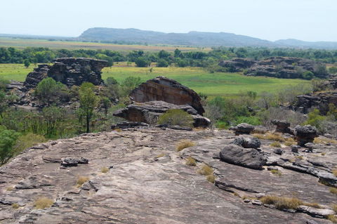 Kakadu Full-Day Tour From Darwin With Lunch - Sunshine Coast Guide 3