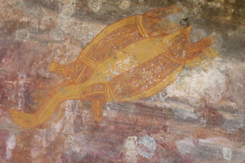 Kakadu Full-Day Tour From Darwin With Lunch - Sunshine Coast Guide 4