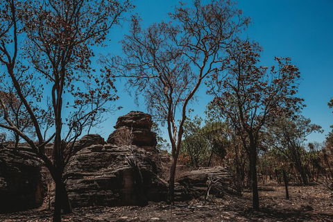 Kakadu Full-Day Tour From Darwin With Lunch - Sunshine Coast Guide 6