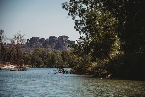 Kakadu Full-Day Tour From Darwin With Lunch - Sunshine Coast Guide 8