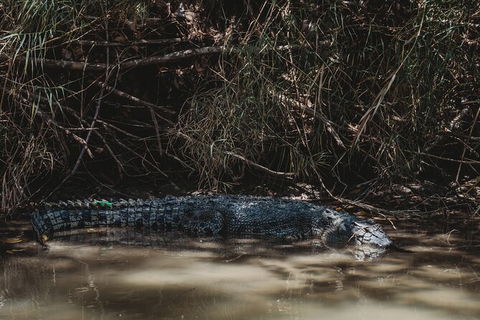 Kakadu Full-Day Tour From Darwin With Lunch - Sunshine Coast Guide 13