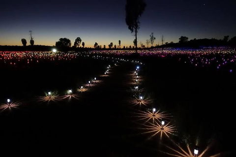 Uluru Field Of Light Sunrise Tour - Sunshine Coast Guide 2