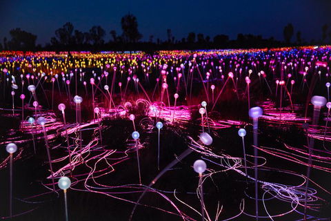 Uluru Field Of Light Sunrise Tour - Sunshine Coast Guide 1