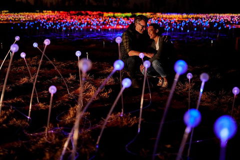 Uluru Field Of Light Sunrise Tour - Sunshine Coast Guide 6