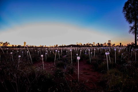 Uluru Field Of Light Sunrise Tour - Sunshine Coast Guide 8