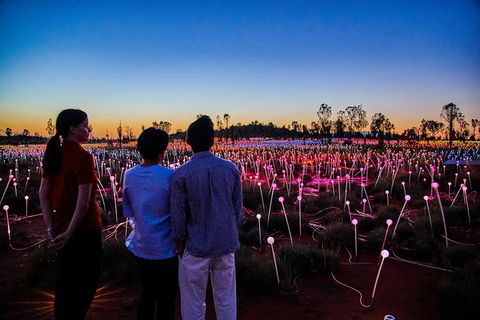 Uluru Field Of Light Sunrise Tour - Sunshine Coast Guide 5