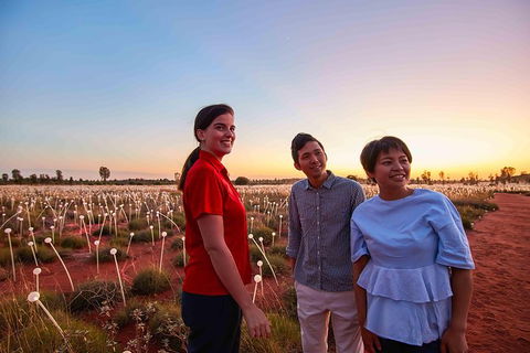 Uluru Field Of Light Sunrise Tour - Sunshine Coast Guide 11