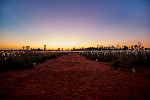 Uluru Field Of Light Sunrise Tour - Sunshine Coast Guide 14