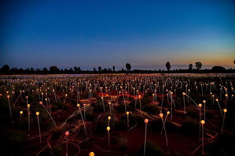 Uluru Field Of Light Sunrise Tour - Sunshine Coast Guide 7