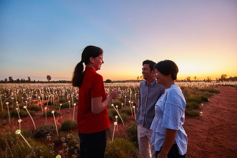 Uluru Field Of Light Sunrise Tour - Sunshine Coast Guide 9