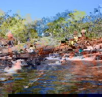 Litchfield and Jumping Crocodiles Full Day Trip from Darwin - Sunshine Coast Guide