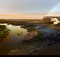 1 Day Corroboree Billabong Wetland Experience including 2.5 hour cruise  lunch - Sunshine Coast Guide