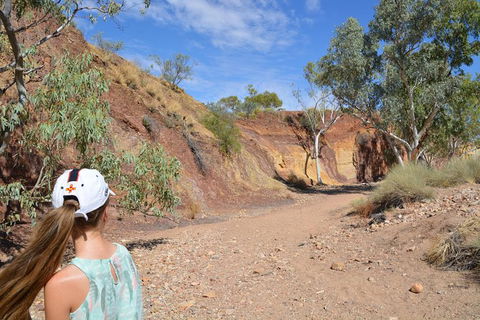 West MacDonnell Ranges Small-Group Full-Day Guided Tour - Sunshine Coast Guide 2