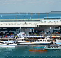 Darwin Harbour Bombing of Darwin Cruise - Sunshine Coast Guide