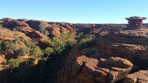 3-Day Tour From Uluru (Ayers Rock) To Alice Springs Via Kings Canyon - Sunshine Coast Guide 13